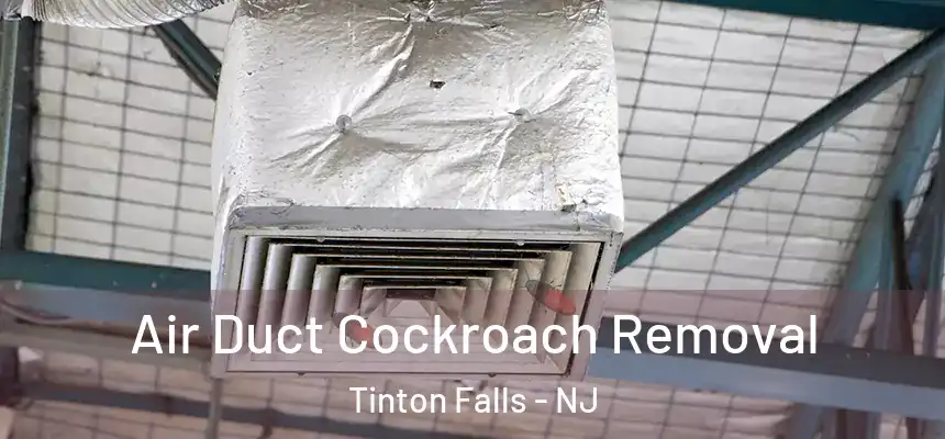  Air Duct Cockroach Removal Tinton Falls - NJ