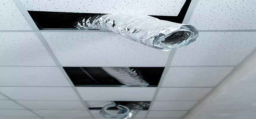 Our Air Duct Pet Hair Removal Services in Tinton Falls, NJ