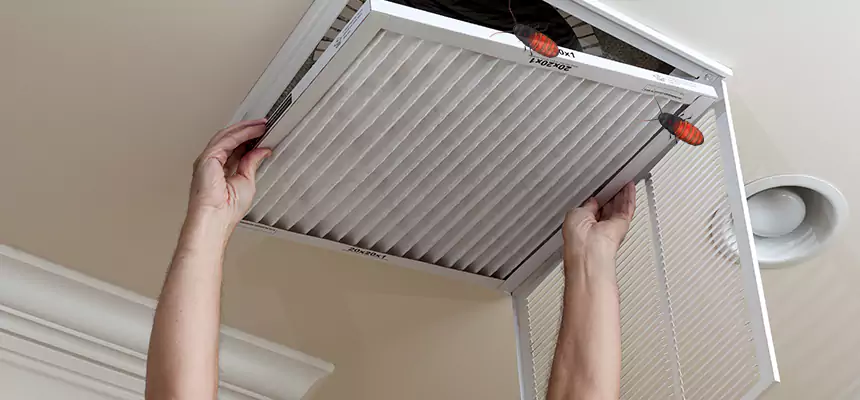 Our Insect Removal from Air Ducts Services in Tinton Falls, NJ