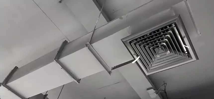 Our Rodent Droppings In Vents Services in Tinton Falls, NJ