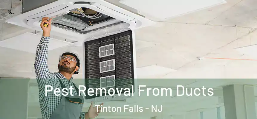  Pest Removal From Ducts Tinton Falls - NJ
