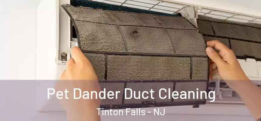  Pet Dander Duct Cleaning Tinton Falls - NJ