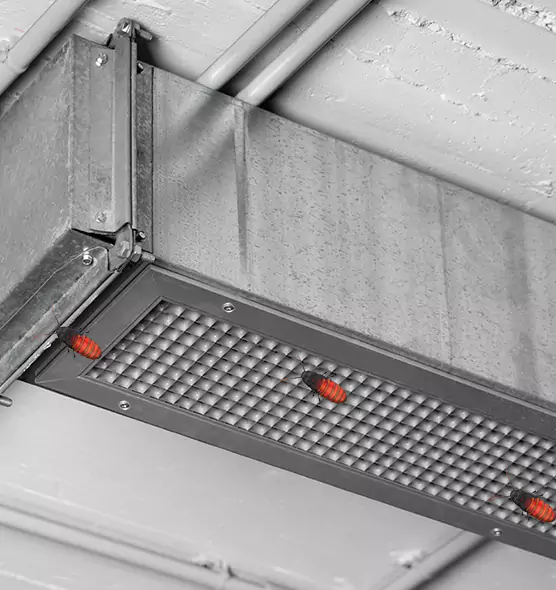 About Air Duct Cockroach Removal in Tinton Falls, NJ