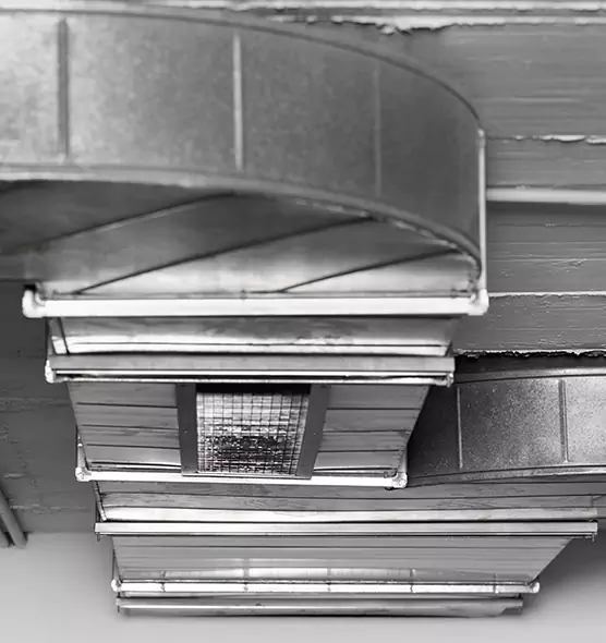 Professional Air Duct Pest Removal in Tinton Falls, NJ