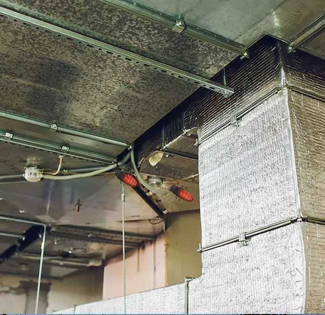 Why Homeowners & Businesses Trust Us in Tinton Falls, NJ?