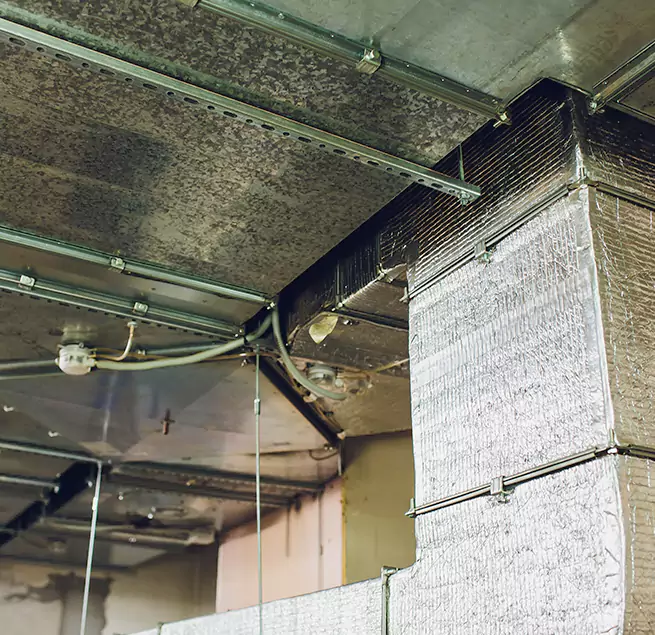 Why Homeowners & Businesses Trust Us in Tinton Falls, NJ?